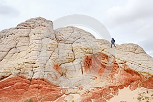 Amazing shapes and colors of moonlike sandstone formations in White Pocket, Arizona, USA