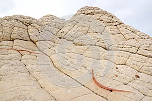 Amazing shapes and colors of moonlike sandstone formations in White Pocket, Arizona, USA