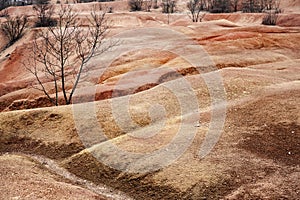 Amazing shapesand colors near an old abandoned bauxite mine in H