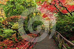 Amazing shot of the beautiful Butchart Gardens in Brentwood Bay, British Columbia