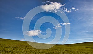 Amazing shot of an empty green field on a sunny day