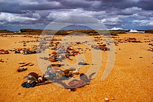 Amazing shot of stones and shells on sandy beach on the background of the sea and the cloudy sky