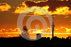 Amazing Sky Tower Sunset photo