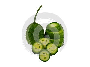 Amazing Slice Beautiful Spiny Gourd For Your Business photo