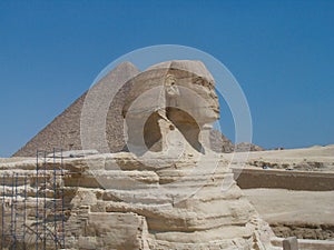 the sphinx of egypt photo