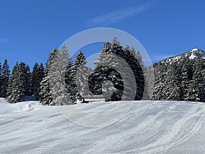 Amazing sport-recreational snowy winter tracks for skiing and snowboarding in the area of the tourist resorts