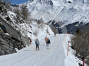 Amazing sport-recreational snowy winter tracks for skiing and snowboarding in the area of the tourist resorts