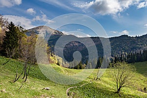 Amazing spring mountain landscape with blue sky