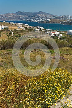 Amazing spring panorama of island of Mykonos, Greece