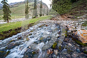 Amazing spring in Tien Shan mountains