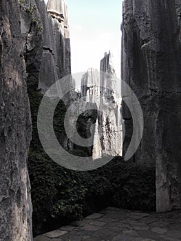 Amazing stone forest in China