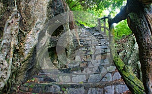 Amazing stone staircase, fence, tree