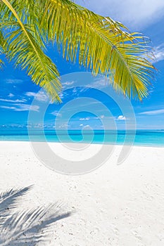 Amazing summer background banner with a relaxing beach and blue sea and palm leaves under sunlight