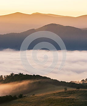 Amazing summer landscape,  stunning nature scenery, Ukraine