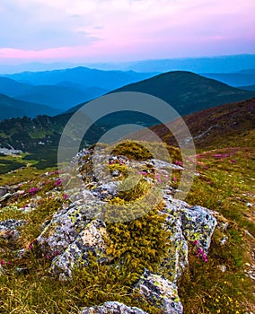 Amazing summer landscape,  stunning nature scenery, Ukraine