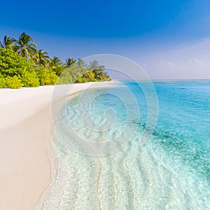 Summer beach banner background. Soft sand and endless sea view. Beach nature background photo