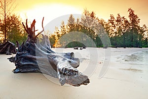 Amazing sunrise on the beach of Koh Kho Khao