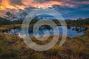 Amazing sunrise landscape and small lake in the bog, Romania