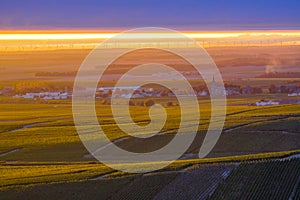 Amazing sunrise on rainy day over green grand cru vineyards near Epernay, region Champagne, France. Cultivation of white