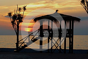 Amazing sunset behind bungalow and tree