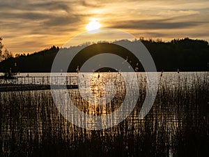 Amazing sunset, at Hancza lake. Suwalski landscape park, Podlaskie, Poland.