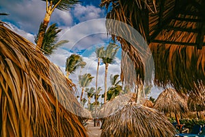 Amazing sunset light on punta cana beach with lounge chairs, umbrellas and palms.