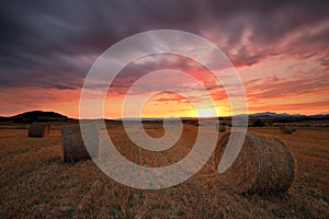 Amazing sunset over a field at harvest time photo
