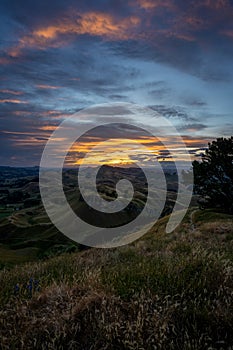 Amazing sunset at the top of the Te Mata Peak. Vertical photography