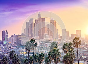 Amazing sunset view with palm tree and downtown Los Angeles. California, USA