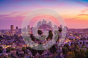 Amazing sunset view with palm tree and downtown Los Angeles. California, USA