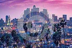 Amazing sunset view with palm tree and downtown Los Angeles. California, USA