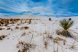 The Amazing Surreal White Sands and Dunes of New Mexico