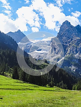 Amazing Swiss Alps Wetterhorn in Summer Grindelwald