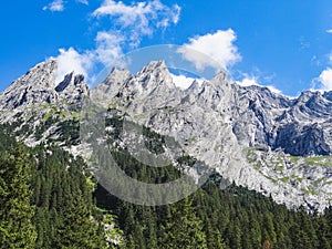 Amazing Swiss Alps Wetterhorn in Summer Grindelwald