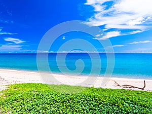 Amazing Top view sea beach landscape background,Summer sea waves crashing on sandy shore seascape background,High angle view ocean