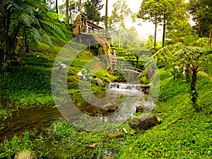 Amazing tree house set in a peaceful forest and river in the morning. Fantasy tree house in the middle of the forest