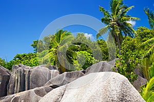 Amazing tropical beach Anse Source d`Argent with granite boulders on La Digue Island, Seychelles