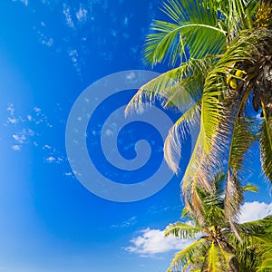 Amazing tropical beach Anse Source d`Argent with granite boulders on La Digue Island, Seychelles