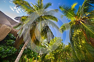 Amazing tropical beach Anse Source d`Argent with granite boulders on La Digue Island, Seychelles