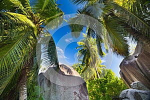 Amazing tropical beach Anse Source d`Argent with granite boulders on La Digue Island, Seychelles