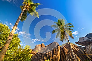 Amazing tropical beach Anse Source d`Argent with granite boulders on La Digue Island, Seychelles