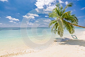 Amazing tropical beach scene. Palm tree with swing, summer day, tropical landscape. Vacation and holiday beach concept