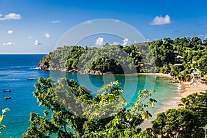 Amazing tropical beach in Trinidad and Tobago, Caribe - blue sky, trees, sand beach photo