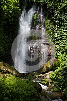 Amazing tropical cascade waterfall in wild green forest with powerful stream of water in sunbeams with water splashes and lush.