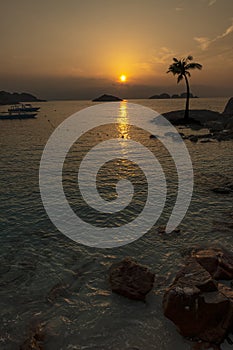 Amazing tropical sunrise over a coconut tree island and the sea horizon