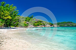 Amazing tropical vegetation and ocean in La Digue, Seychelles