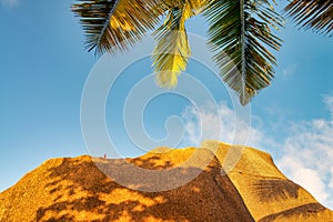 Amazing tropical vegetation and ocean in La Digue, Seychelles