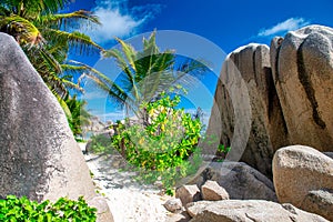 Amazing tropical vegetation and ocean in La Digue, Seychelles