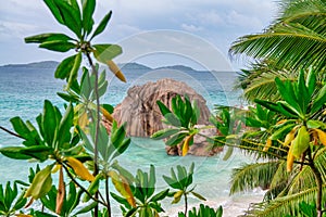 Amazing tropical vegetation and ocean in La Digue, Seychelles