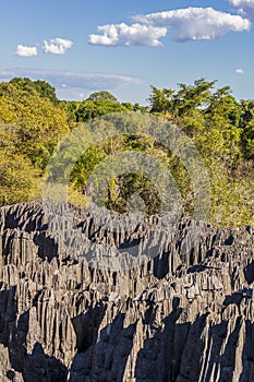 The amazing Tsingy de Bemaraha